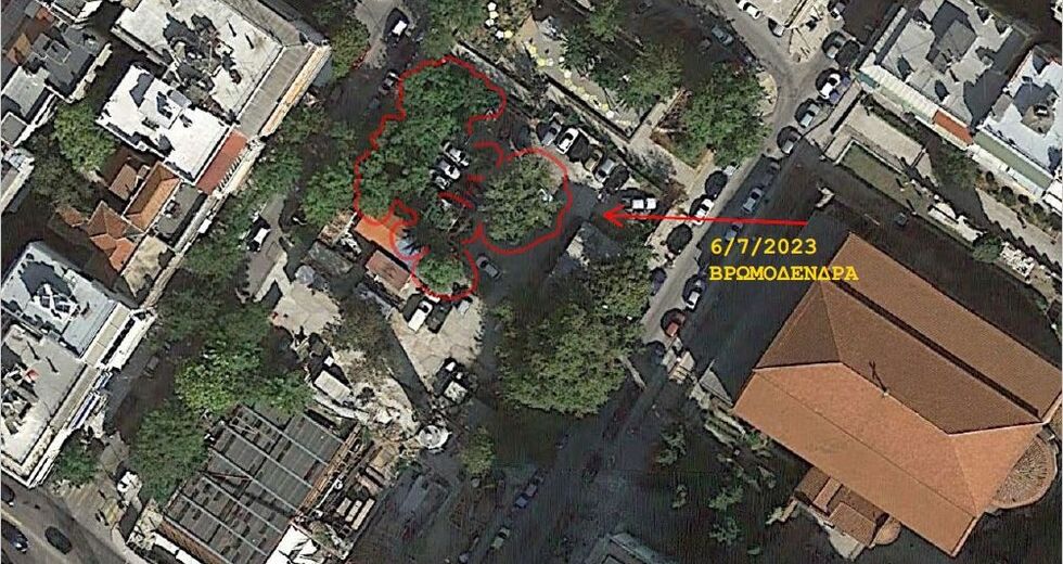Νέα διαμάχη για κοπή 15 δέντρων στη Θεσσαλονίκη