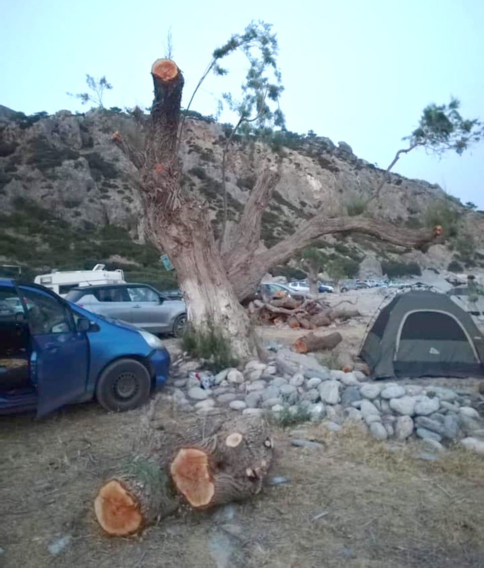Σούγια: Εκοψαν τα δέντρα για να διώξουν τους κατασκηνωτές