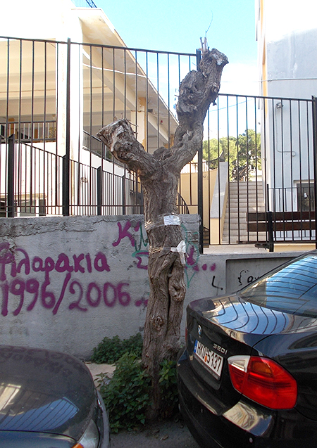 Ζητείται σωστή διαχείριση για το πράσινο στο Ηράκλειο