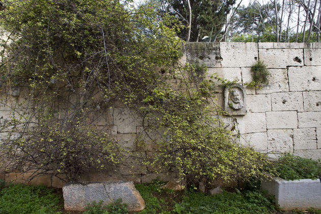 Ενα ρωμαϊκό πρωτοποριακό έργο