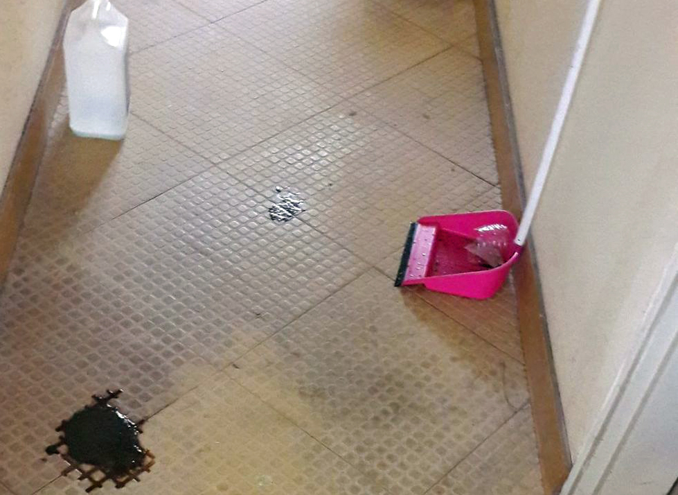Τρωκτικά και φοιτητές στο ίδιο οικοτροφείο…