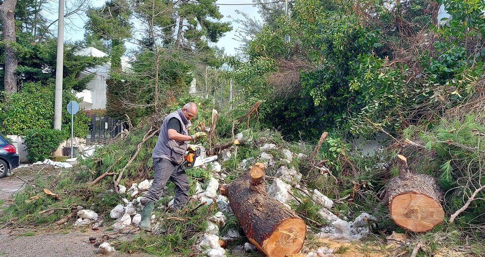 «Τις πταίει» για μία εβδομάδα χωρίς ρεύμα