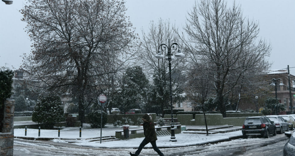 Κόπηκε η χώρα στα δύο λόγω της «Ζηνοβίας»