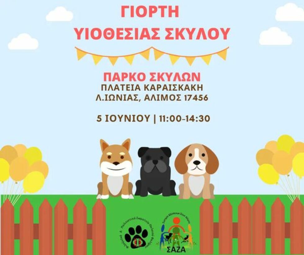 Μπαζάρ, υιοθεσίες και άλλα πολλά