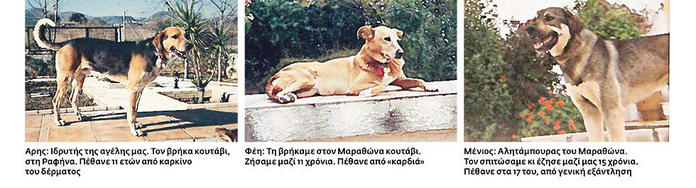 Το ταξίδι εδώ τελειώνει