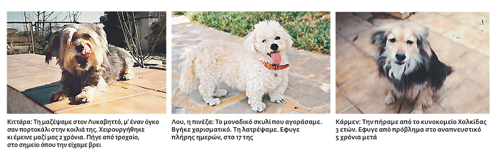 Το ταξίδι εδώ τελειώνει