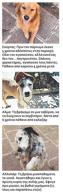 Το ταξίδι εδώ τελειώνει
