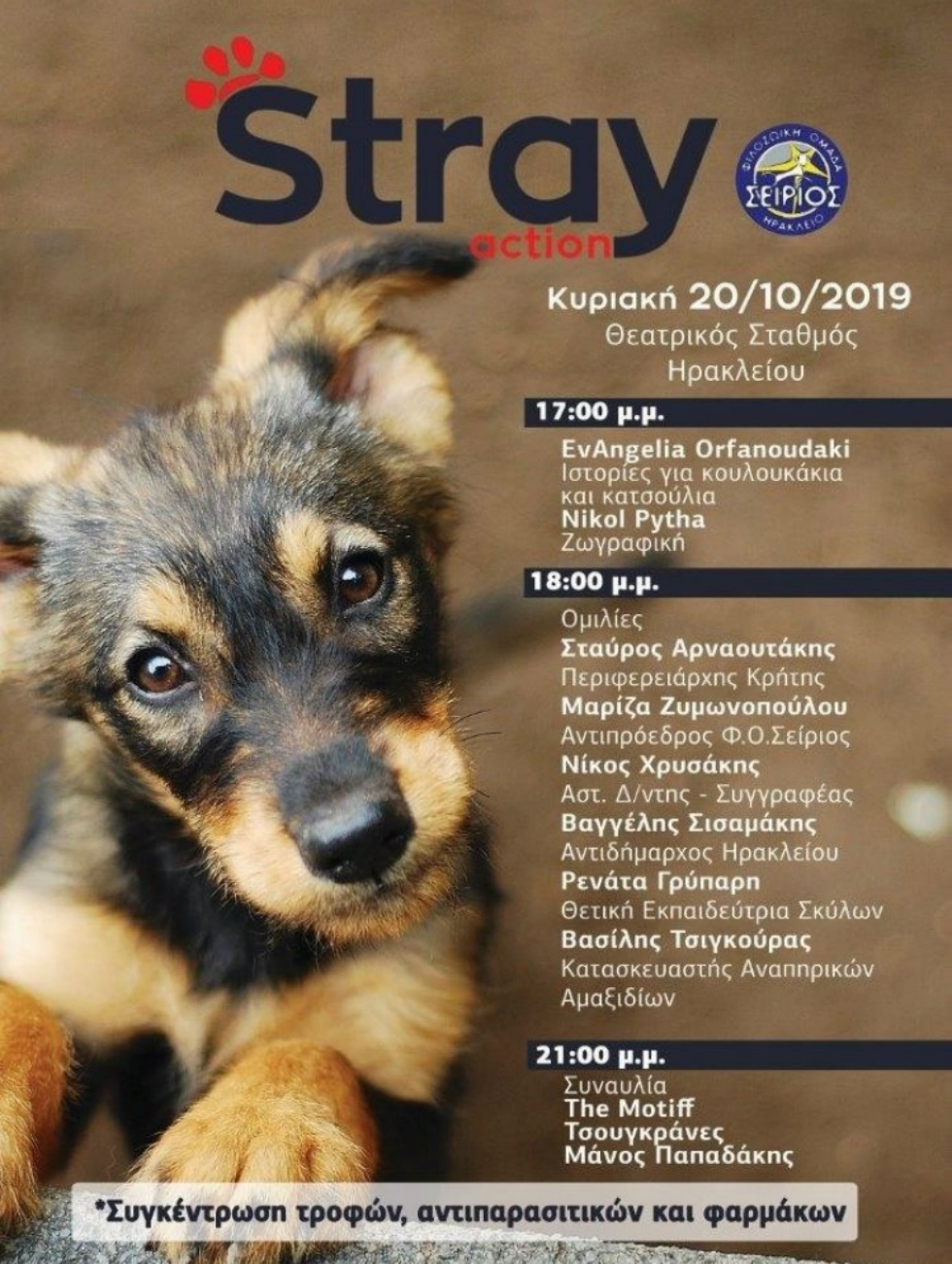«Stray Action»: Δράσεις για τα αδέσποτα στο Ηράκλειο