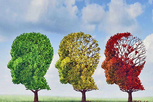 Brain Training