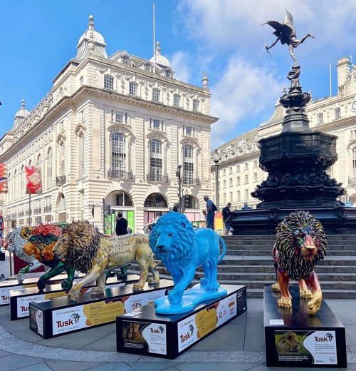 Ο βασιλιάς της ζούγκλας στο Piccadilly Circus