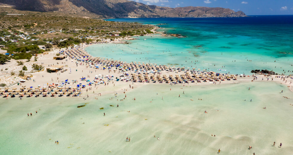 Σκοτώνουν την κότα που κάνει τα χρυσά αβγά