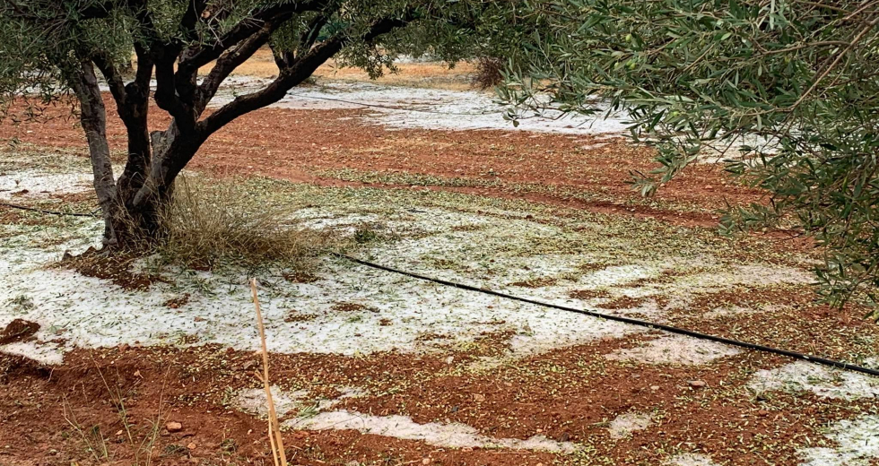 Μεγάλες καταστροφές σε υποδομές και καλλιέργειες στα Μάλια