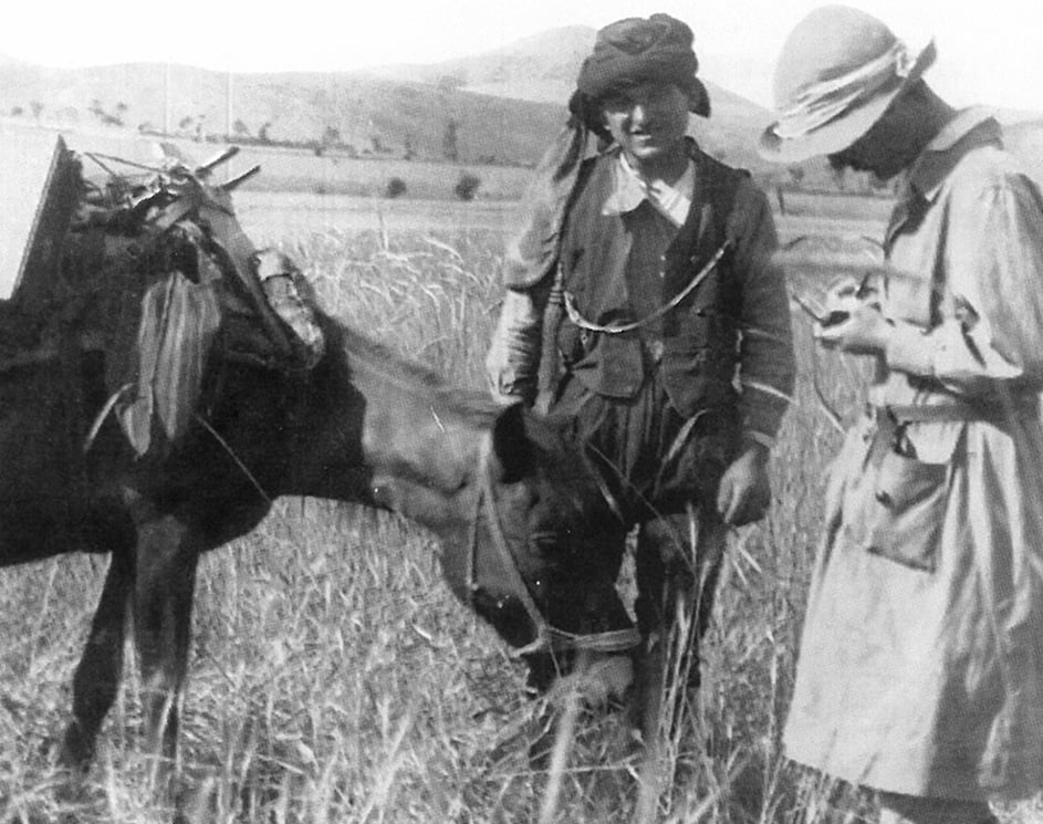 Mια ζωή, ολη η ιστορία