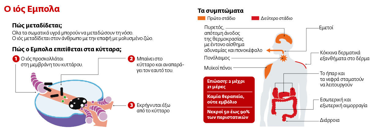 Καταρρίπτονται οι έξι μύθοι για την επιδημία