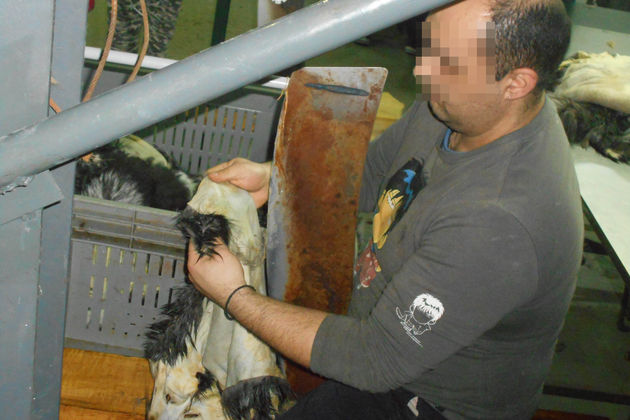 «Πόλεμος» κυνηγών και υπουργείου Παιδείας