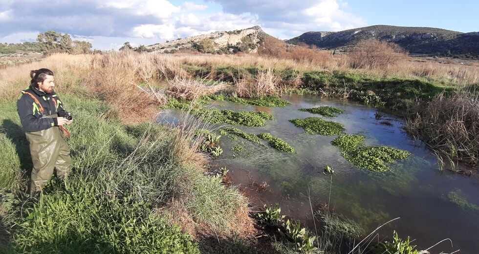 Ενα βήμα πριν από την εξαφάνισή του