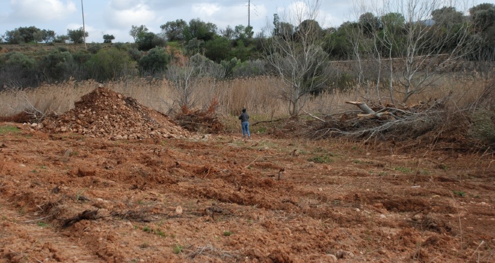 Καταστρέφουν τις προστατευόμενες εκτάσεις του Ερασίνου