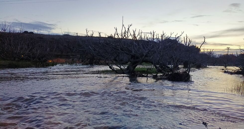 Καταστρέφουν έναν υγρότοπο για να μην… πλημμυρίσει!