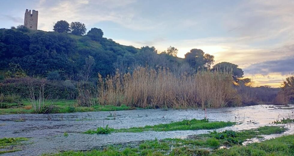 Καταστρέφουν έναν υγρότοπο για να μην… πλημμυρίσει!