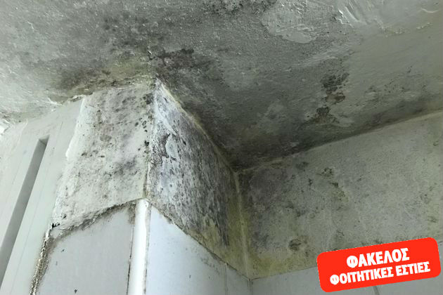 Ανθρώπινη διαβίωση ή αγώνας για επιβίωση