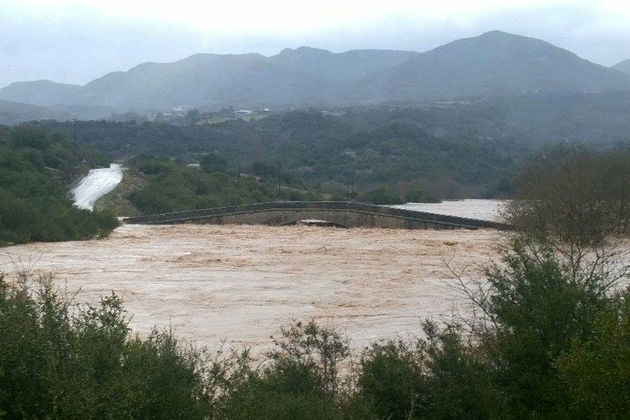 Κατέβηκε το βουνό στην Ευρυτανία