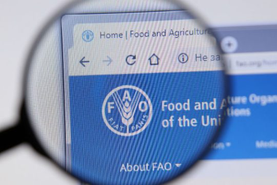 FAO: Μόνο το 4,6% της Λωρίδας της Γάζας είναι καλλιεργήσιμο