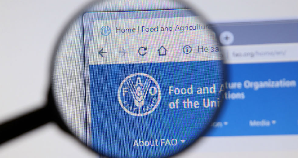 FAO: Μόνο το 4,6% της Λωρίδας της Γάζας είναι καλλιεργήσιμο