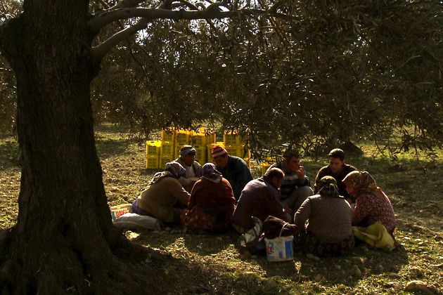 Στη μεγάλη οθόνη του Καστελόριζου