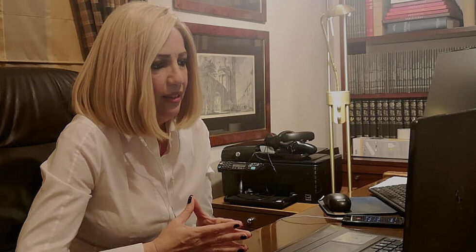 Κυβέρνηση, Βουλή και κόμματα στην εποχή του κορονοϊού