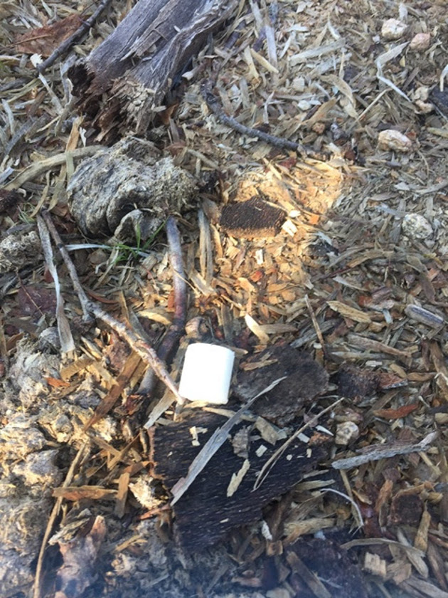 Ιδιαίτερα επικίνδυνες φόλες στη Νυμφαία Κομοτηνής