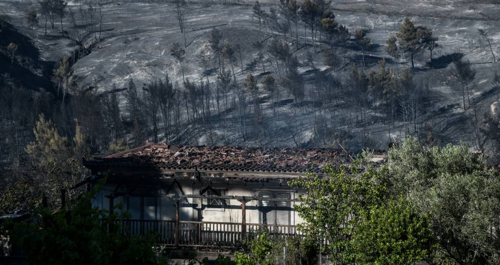 Αποκαρδιωτικές εικόνες απ’ τη φωτιά σε Κορινθία – Δυτ. Αττική