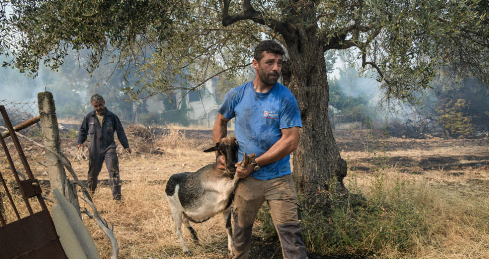 Εικόνες απόγνωσης σε δέκα φωτογραφικά κλικ