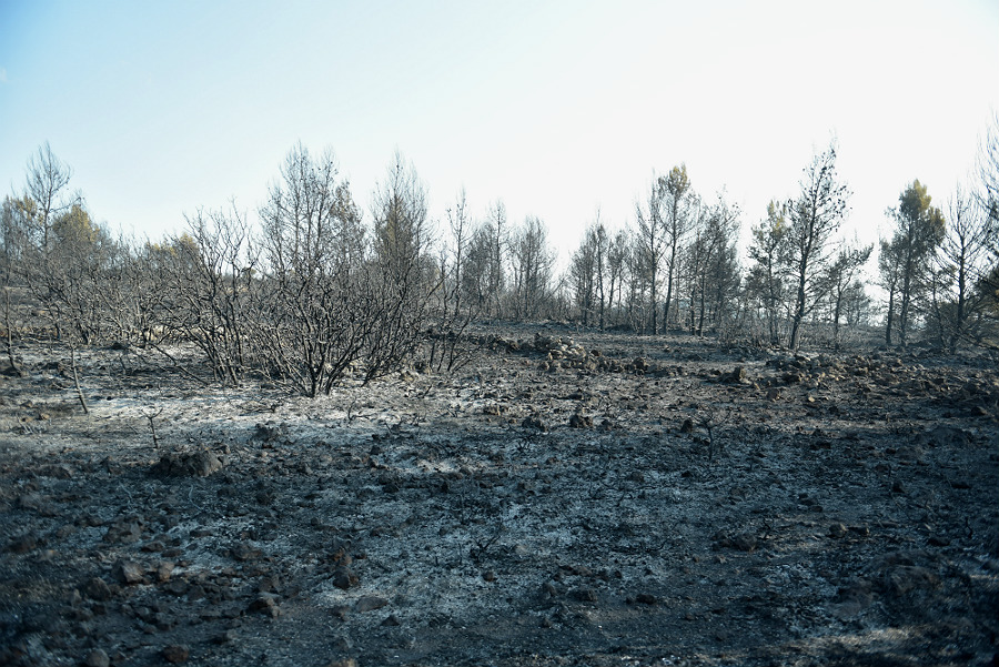 Ως τις 15 Σεπτεμβρίου οι μελέτες για τα αντιπλημμυρικά