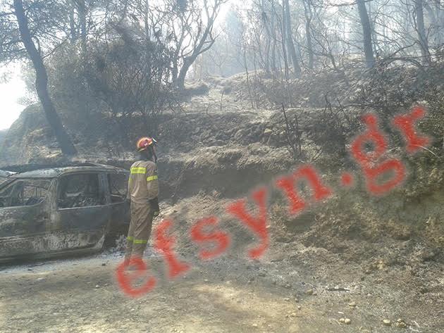 Σε εξέλιξη πυρκαγιά στην παραλία Μυρτιώτισσα της Κέρκυρας