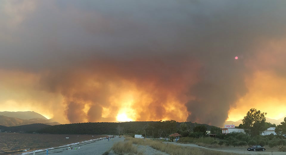 Πυρκαγιά σε βάλτο στην Αχαΐα, διάσπαρτες εστίες στη Μάνη