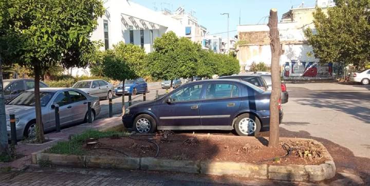 Κάτω Πατήσια: Νέες κοπές δέντρων καταγγέλλουν οι κάτοικοι