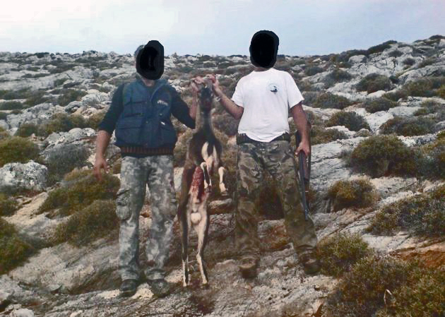 Σε κίνδυνο άγρια ζώα και πτηνά στην Ελλάδα