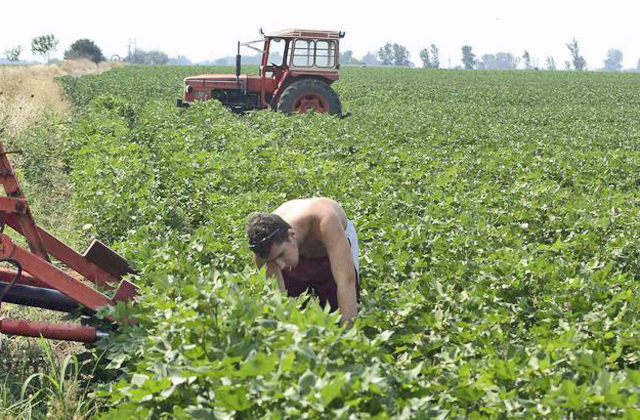 «Χρειάζεται εθνικός διατροφικός σχεδιασμός»