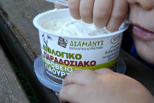 Ενα οικολογικό αγρόκτημα «Διαμάντι»