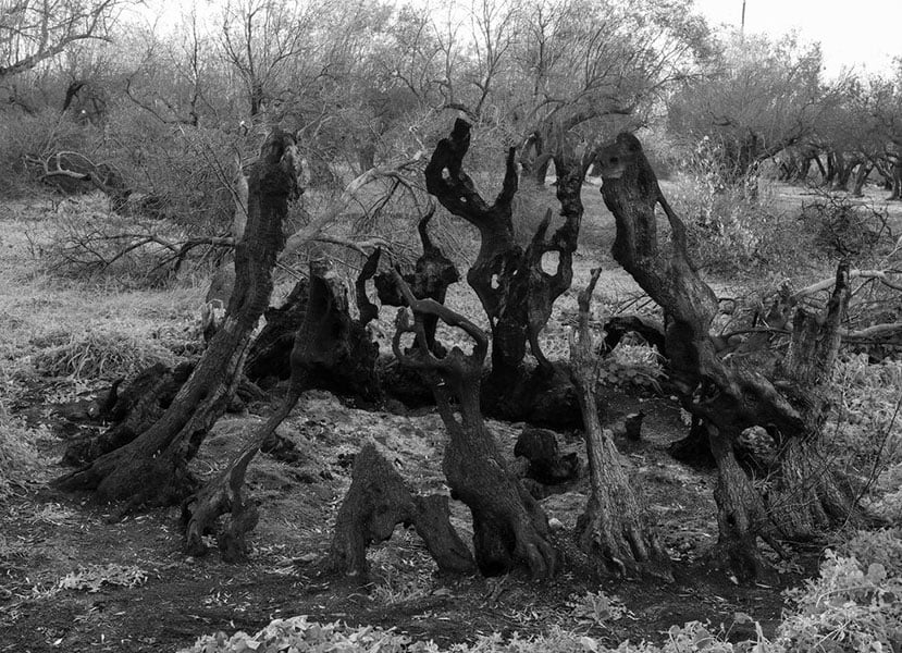 «Ο καπιταλισμός είναι το αρπακτικό που μας τρώει το συκώτι»
