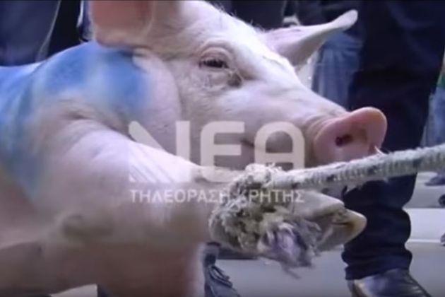 Δεν φταίνε για τα Μνημόνια…