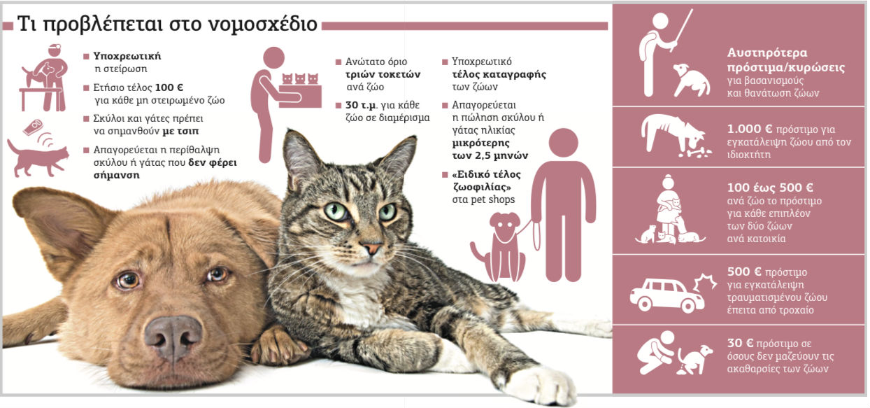 Αυξημένα πρόστιμα και φιλοζωικά τέλη στους ιδιοκτήτες κατοικιδίων
