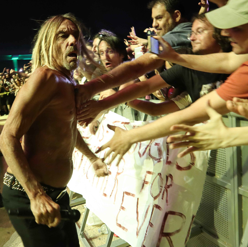 Iggy f@@@ing thank you!