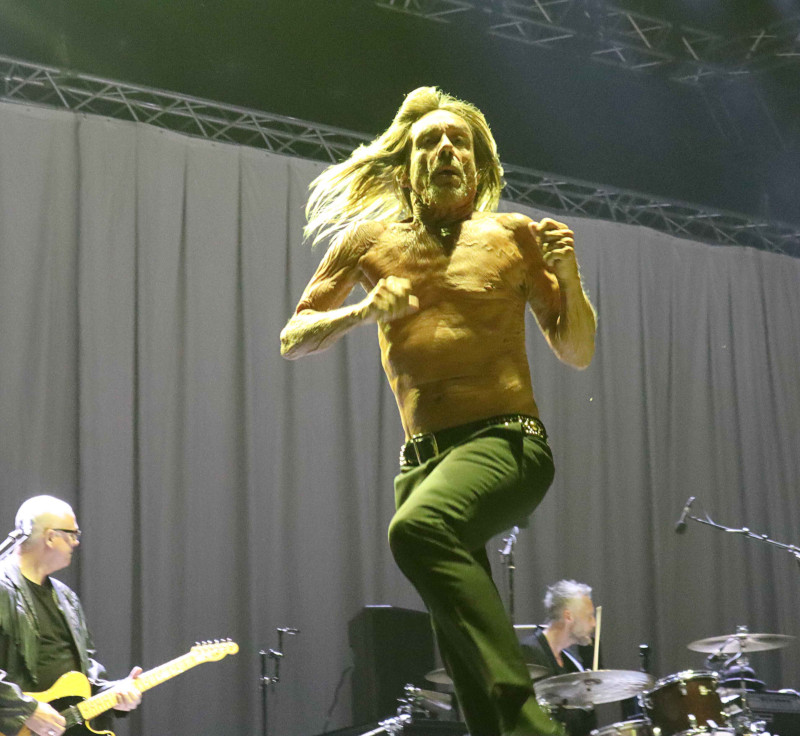 Iggy f@@@ing thank you!