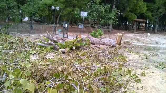 Κοπή 19 δέντρων και παράνομη χωροθέτηση παιδικής χαράς στην Ηλιούπολη