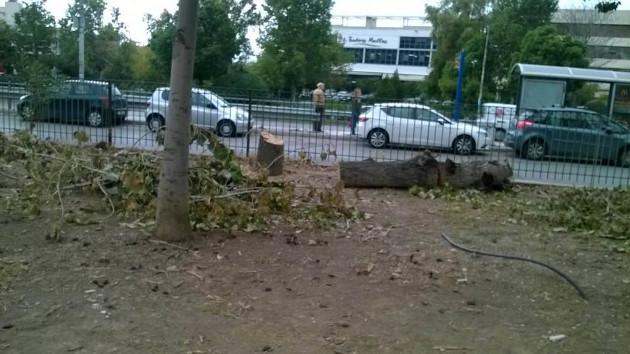 Κοπή 19 δέντρων και παράνομη χωροθέτηση παιδικής χαράς στην Ηλιούπολη