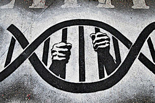 Το φαινόμενο CSI και το φάντασμα του Χέιλμπρον