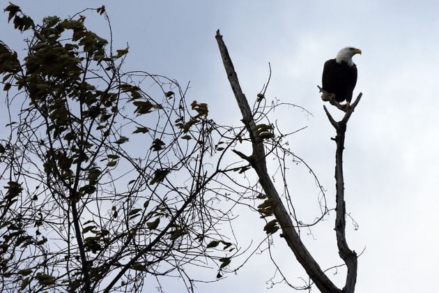 Παρισινά δρακρυγόνα για… κλιματική αλλαγή