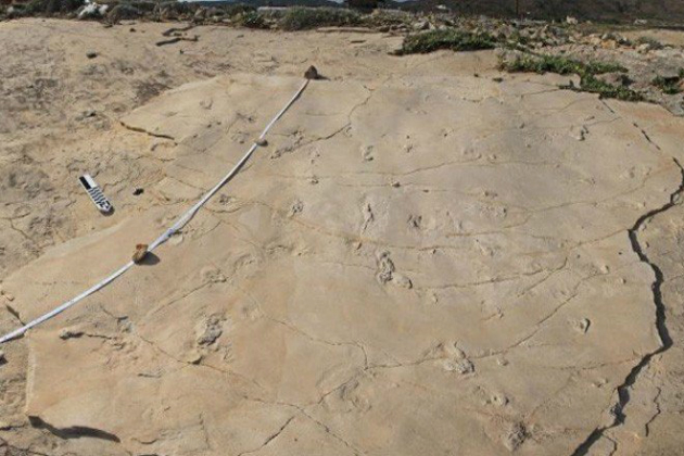 Έκλεψαν κάποια από τα απολιθωμένα ίχνη στην Κίσσαμο