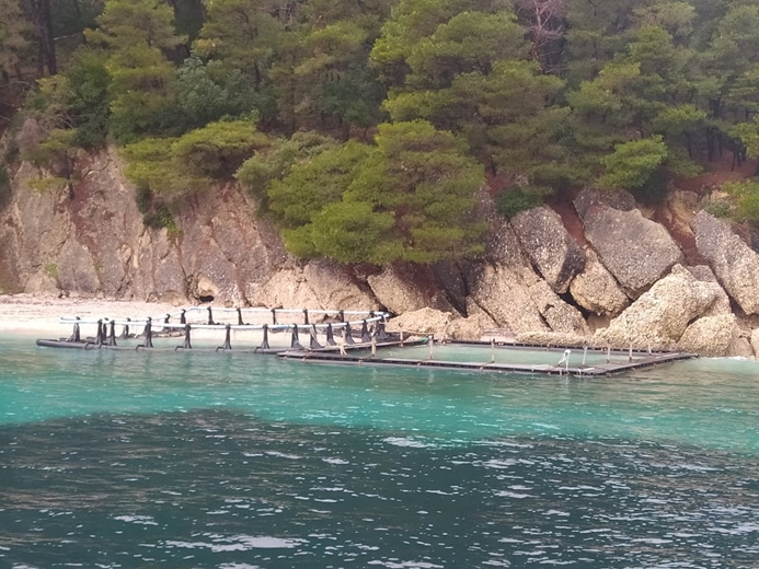 Οι ακτές της Αιτωλοακαρνανίας, θυσία στις ιχθυοκαλλιέργειες